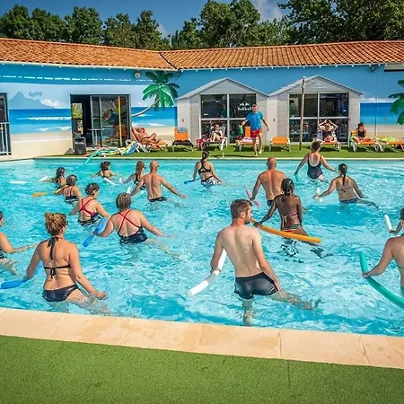 Zecamping 4 Etoiles Club Enfant Parc Aquatique Sauna Hammam Chiens Acceptes 4*